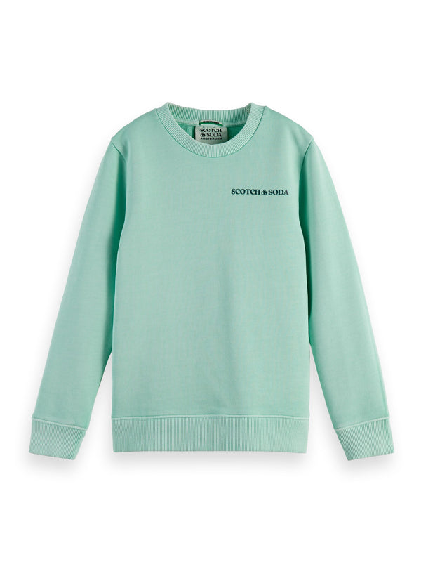 Boy mint color sweatshirt