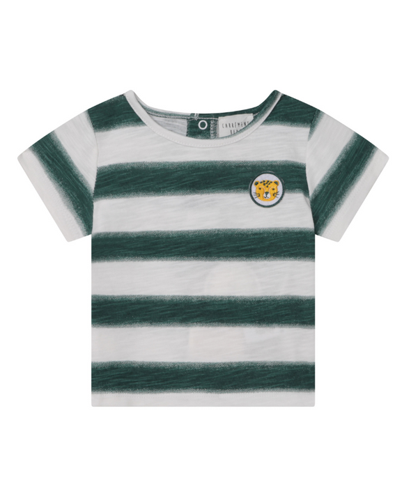 Baby Boy tee shirt striped